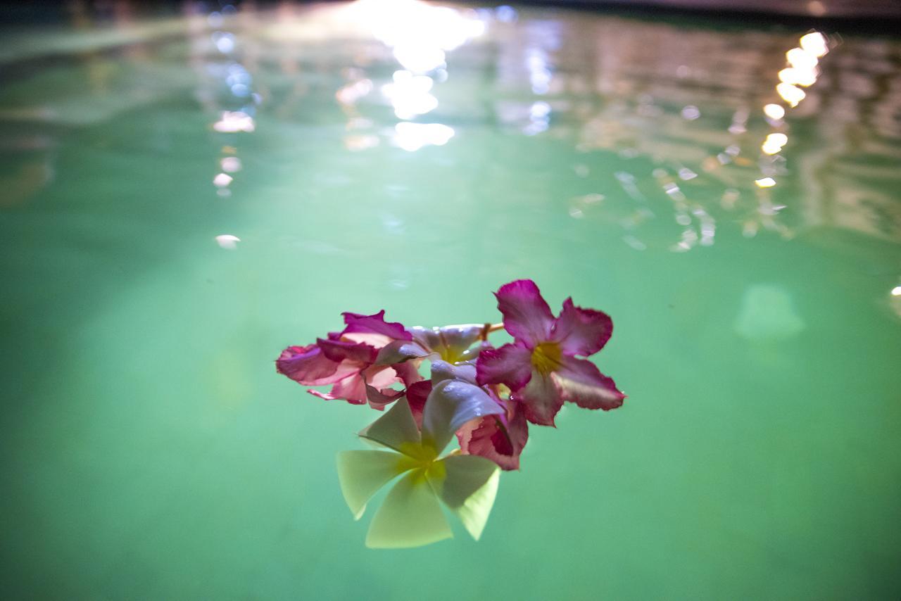 Green Diamond Villa Gili Trawangan Exteriér fotografie